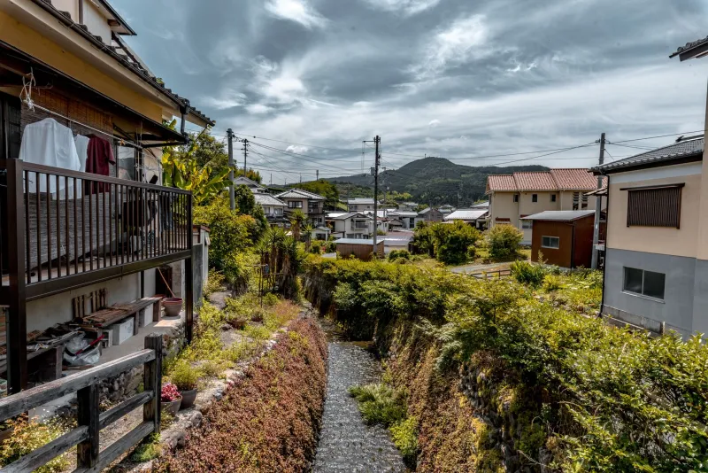 Quietly Competent: The Surprising Skills Americans Build by Actually Living in Yomitan